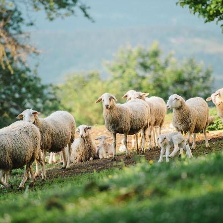 Eco Tourist Farm Ravnjak Slovenj Gradec Exterior foto